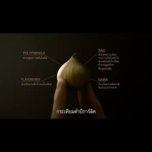 2 แพ็ค ส่งฟรี / B-Garlic กระเทียมดำ บี-การ์ลิค - 1 กล่อง 500 กรัม