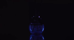 VANZO Reed Diffuser 120ml Fruity Freesia / White Musk / Citrus Verbena/ Cloud Mist Tea/ Wintersweet Vanzo Home Perfume