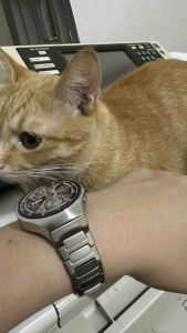 Dây titan Huawei Watch 5 (không khoảng cách có ảnh và video)