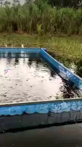 กระชังน้ํา ขนาด 8x5 เมตร สูง 120 cm