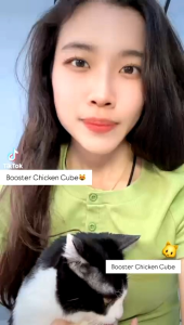 CHEAPEST!!500G FREE 200G LIVER!! RAYA READY!! SHIP TOMORROW!! BOOSTER GEMUK KUCING CHICKEN CUBE CAT SNACKS CAT FOOD PET SNACKS PET FOOD PET BOOSTER KUCING GEMUK!