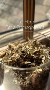 Dried Marshmallow Root Tea
