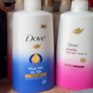 Dầu gội DOVE 640g Phục Hồi ngăn rụng Hư Tổn mới