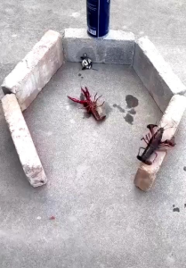 AKC1215 Spray Anti Bocor 300ml / Semprotan Anti Bocor Atap Genteng Pipa Bocor Tembok Retak