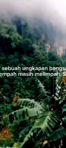 JAHE MERAH BUBUK MURNI 50 GRAM