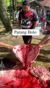 Parang Golok Tulang ori Tramontina Brasil Bolo