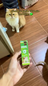 Vitamin Imun Kucing Anjing Menjaga Stamina Anti Virus Stress Immune Booster Tetes 20 ML