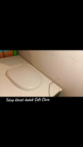 Tutup Kloset Duduk Soft Close: Menutup Peralihan Dengan Lembut
