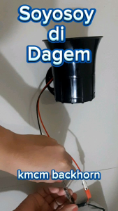 Soyosoy Di Dagem tone Backhorn /horn 12-24V