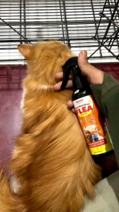 ELOPE Obat Anti Kutu / Pembasmi Kutu Anabul Kucing Anjing Kelinci