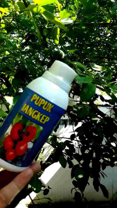 PUPUK JANGKEP PATEN ORGANIK untuk penyuburan daun bunga sampai buah 250 ml