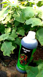 asam humat cair kemasan 1 liter asam humat plus acid 90% humic acid pupuk