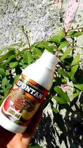pupuk organik spontan 250 ml