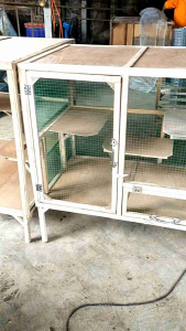 กรงแมว ขนาด 100×60×90ซม. ล้อมตาข่ายเคลือบ PVC กันสนิม