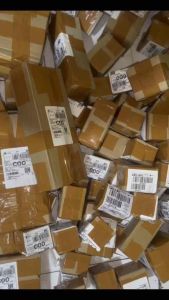 Gelasan Vampir 1299yard 0.22 (Asli original)