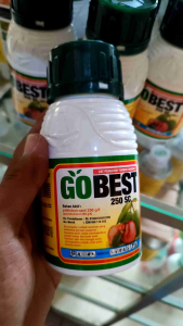 Gobest 250SC Zat Pengatur Tumbuh 250ml Peningkat Jumlah Buah Bunga