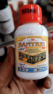 Zat Pengatur Tumbuh Santrel Pematang Buah 100ML
