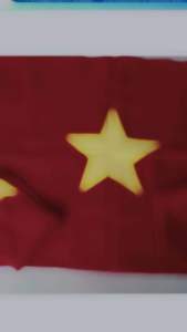 Lá cờ tổ quốc vải phi bóng 80x120cm