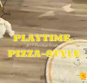 Pet Toy Realistic Snack Cute Jam Chips Dog Chew Toy  Mainan Haiwan Snek Palsu 宠物果酱糖果薯片玩具 发声耐咬磨牙