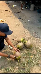 PISAU / G0L0K BED0G BANTEN + pisau gergaji