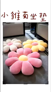 cute little daisy pillow cushion 可爱小雏菊抱枕靠垫