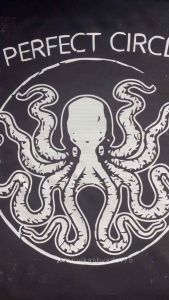 A PERFECT CIRCLE BAND SHIRTS