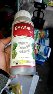 EMASOL 30 EC 500 ml Insektisida Mengendalikan Hama Penghisap Polong Pada Tanaman Kedelai