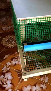กรงนกกระทา แข็งแรงทนทาน ขนาด45×60เซ็น บรรจุได้20-25ตัว
