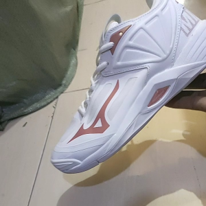 Mizuno Momentum 2 Super Premium: Sepatu Volly Cit Cit & Olahraga Pria Wanita