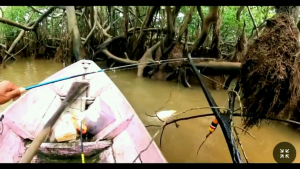 Essen jitu umpan pancing ikan gurame liar/oplosan ikan gurame susah makan pemium/khusus Ikan Gurame