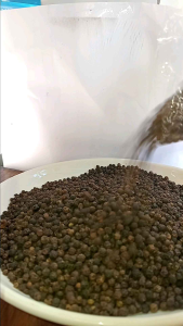 Paminta Pure 100% CrackDurogPino (Black Pepper Pure 100g in a Jar)