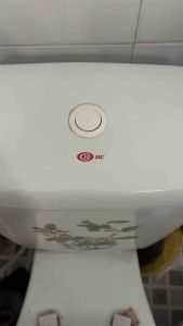 Bộ Xả Nước Bồn Cầu Loại 1 Nhấn Chấn Hùng Dùng Cho Bồn Cầu 2 Khối Kèm Nút 1 Nhấn