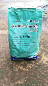 บีเค แม็กซ์-โพส 80 ดับบลิวจี