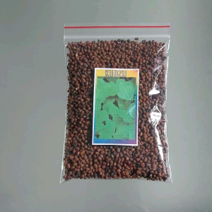 Kudzu (Pueraria) 2000 Seeds Forage Grass Seeds