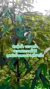 ฮิวมิคโปรพลัส3กก.ปรับปรุงดิน บำรุงพืช