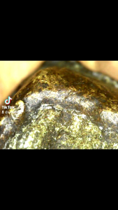 พระโพธิ์สัตว์ดาราเขียว เจ้าพระคุณโพธิ์แจ้ง วัดโพธิ์แมน กทม ปี 2492