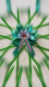 พวงมาลัยใส่แบงค์ ซองพิมพ์ลาย 15 ใบ ใส่ได้ทุกแบงค์