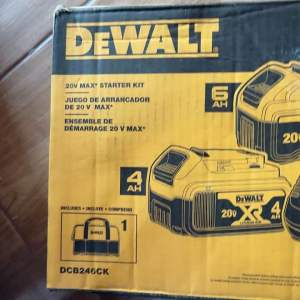Dewalt Dewalt 20-Volt MAX XR Premium Lithium-Ion 6.0Ah and 4.0Ah Starter Kit
