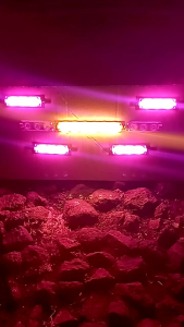 MODUL MATRIX ALA ALA 5CHANEL 12VOL-24VOL WATT BESAR