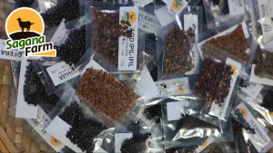 Forage Seeds (8 Kinds Bulilit Packs): Indigofera Rensonii Flemingia Acid Ipil-ipil Calliandra Pueraria Centrosema and Calopogonium -- Starter Pasture Seeds for Goats Sheep Cattle Chickens Turkeys and other Livestock and Poultry.