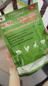 Men tiêu hoá sống Sumi Zym S09 giúp tiêu hoá thức ăn giảm tiêu chảy phân giảm mùi hôi trên gia súc gia cầm. Sản phẩm tan trong nước