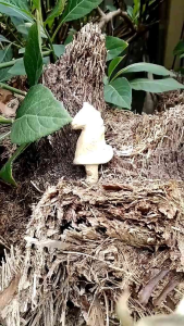 Koleksi Ageman Jaran Goyang Besi kuning