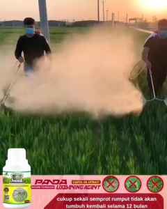 KILL GRASS PANDA RAJA PEMBUNUH GULMA