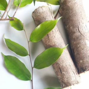 NEW PROMO!! BATANG KAYU GAHARU BAHAN TEH