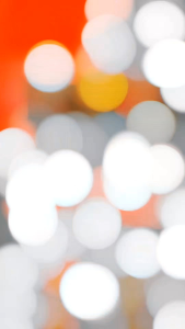 Bingkai Foto Presiden dan Wakil Presiden Pancasila Set