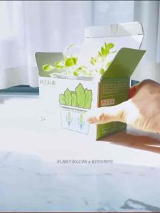 Mini Hydroponic Plant Kit Reusable | Home Office Indoor Hydroponics Pot Garden DIY Children Grow Herbs Vegetables