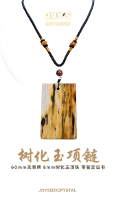 Joys Dzi Crystal 乐缘天珠晶品阁 树化玉 树化石 硅化木 平安扣 无事牌 项链 树化玉吊坠 树化玉项链 文玩 树化玉手串 树化玉手链 树化玉链 petrified wood Donut Pendant petrified wood necklace