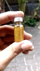minyak serbuk Susuhk emas