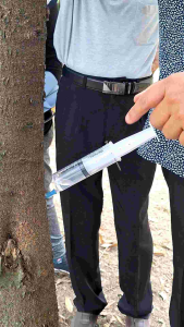 Durian Tree Trunk Injection Adaptor