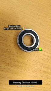 bearing gearbox 16003 viar sparepart roda tiga (GS 39G)